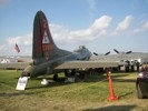 B-17 Flying Fortress - Thunder Bird tail