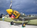 P-40 Warhawk fighter aircraft.